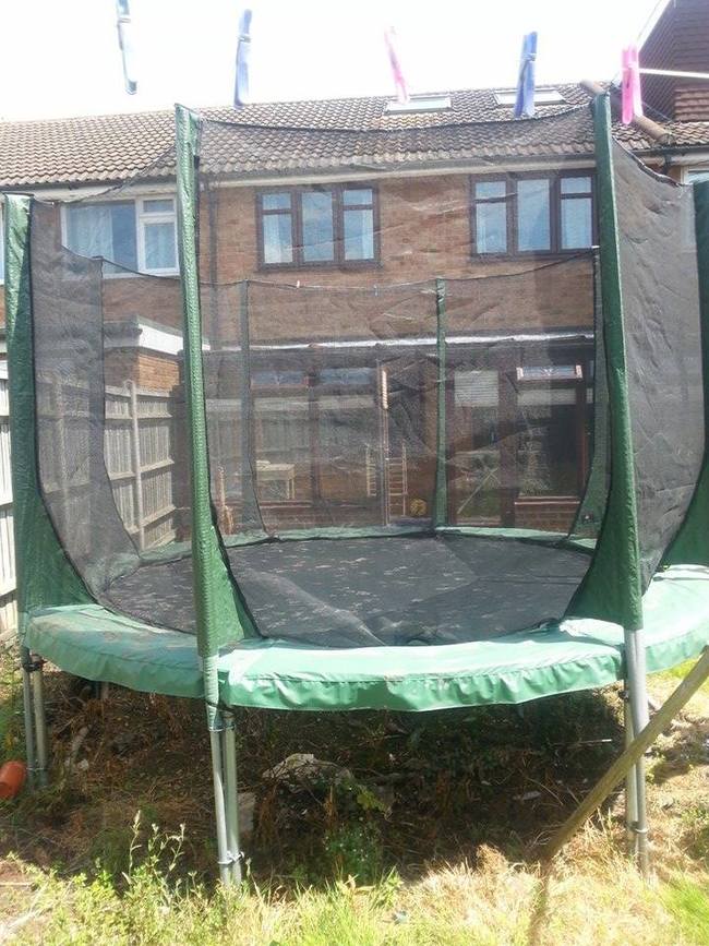 And then they noticed the trampoline looked a little dusty...