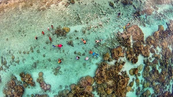 26.) A group of tourists snorkeling in beautiful, clear water (Taha’a lagoon, French Polynesia).