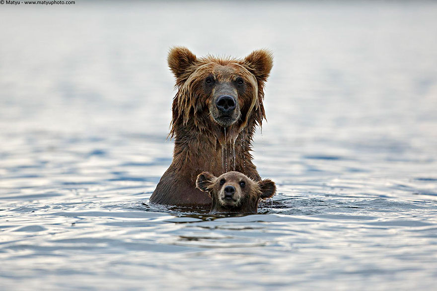 8.) "It’s time for your swimming lesson son."