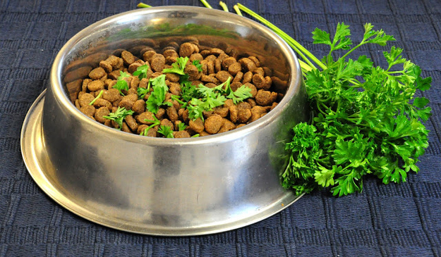 1.) Put fresh parsley in your dog's food to give them better breath and an unshakeable sense of superiority.