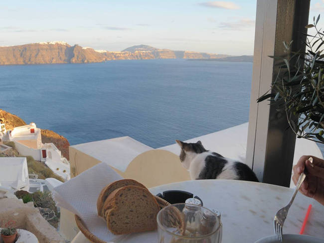 Basking in the view of Greece at brunch.