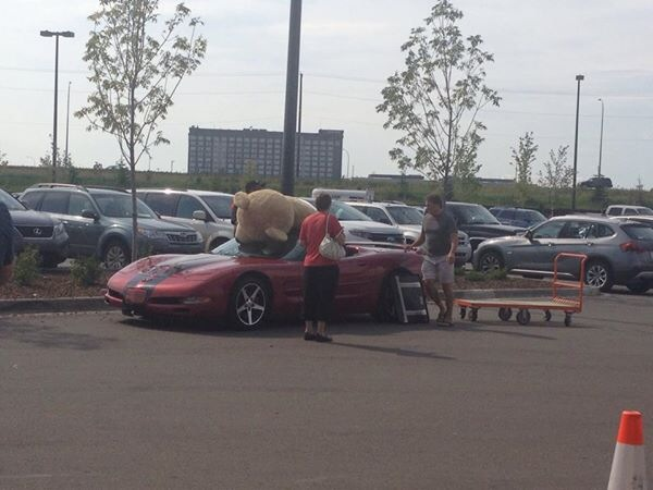 No one knows why this gentleman decided to take home a giant bear.