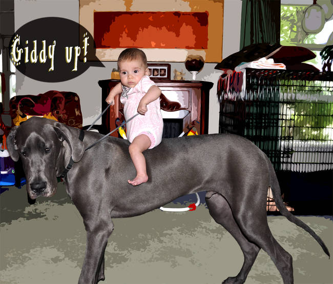 9.) If you are a tiny baby, you can even ride a Great Dane!