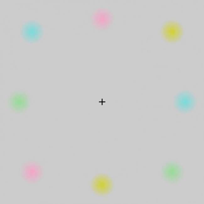 1.) Watch the little cross for long enough, and the dots will vanish.