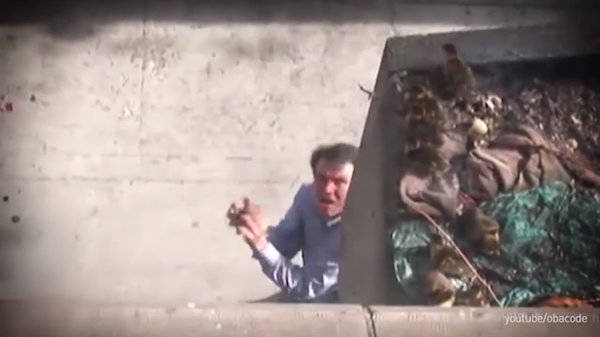 This man who helped a group of ducklings make a soft landing.