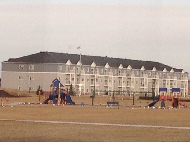 Jackrabbits (white blobs) congregating at a local playground.