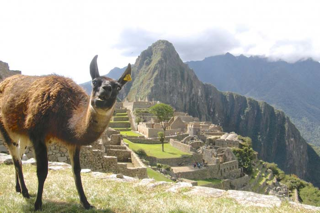 32.) I hope you don't mind my ruining your perfectly good picture of Machu Piccu. K, thx.