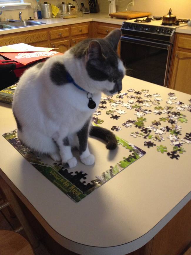 4.) If it fits in the puzzle, it sits in the puzzle.