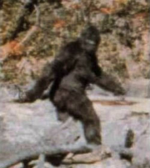 4.) Bigfoot