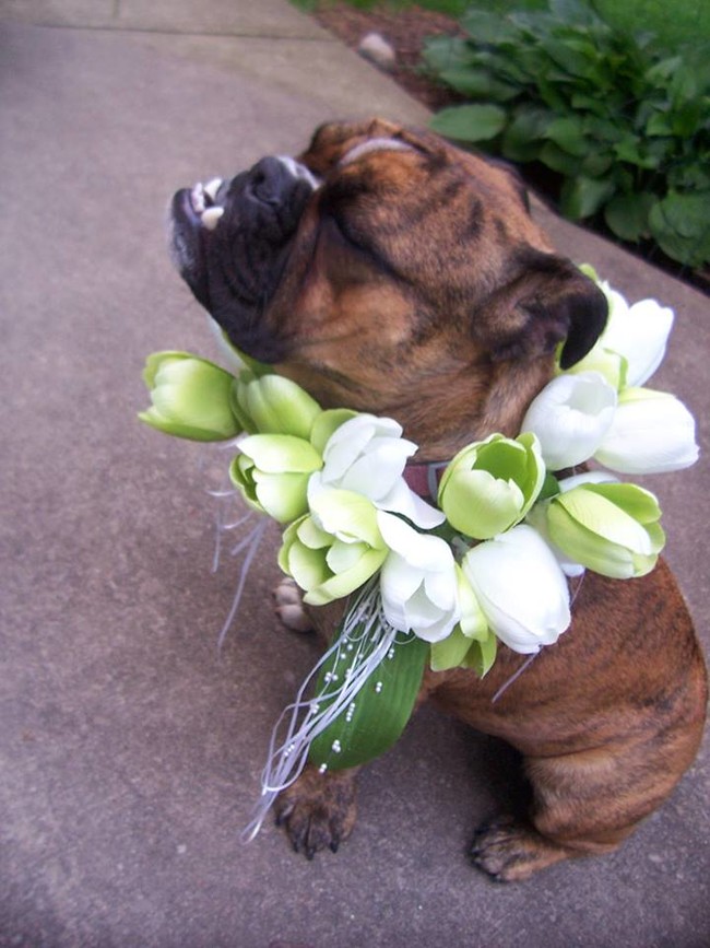 I can only hope that my flower girl is as charming as this little lady.