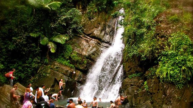 8.) You'll need a passport to see the Amazonian waterfalls, but you won't in El Yunque National Forest, Puerto Rico.