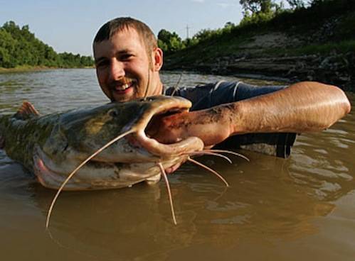 Noodling is when a fisherman simply sticks their fist into a known catfish hole, hoping that one of the fish thinks it's bait.