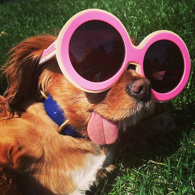 She rocks shades in the park.