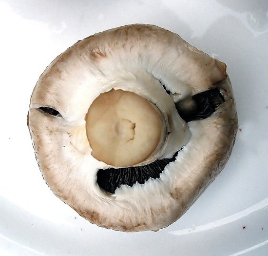 6. This mushroom looks like an angry old man.