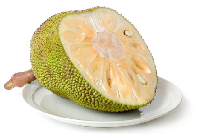 Jackfruit