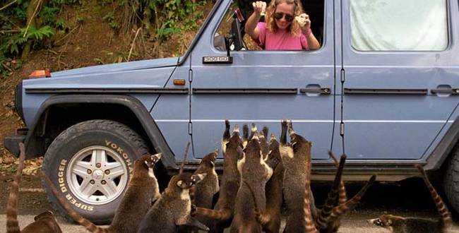 That sealed the deal. They soon set off for an amazing African adventure with Gunther's trusty Mercedes G-Wagen, known as Otto.