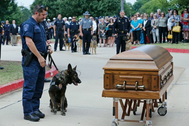 According to his handler at the funeral, "Without question, Kye’s sacrifice saved the life of one of the officers. We will forever remain in your debt."