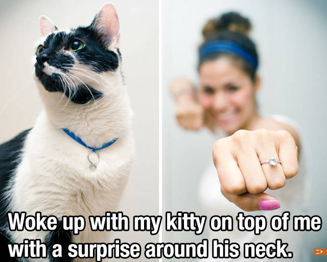 She married her cat!