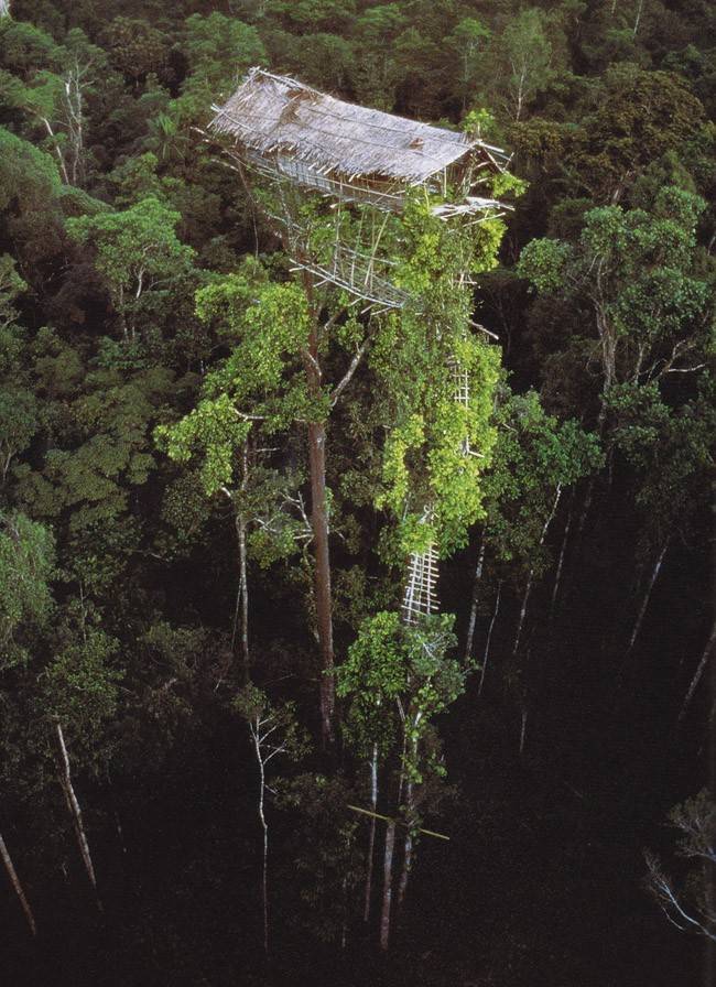 For what this tree house of the Korowai people in Papua lacks in style, it more than makes up for in height. Yikes!