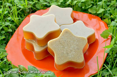 Neem Oil Dog Shampoo Bars