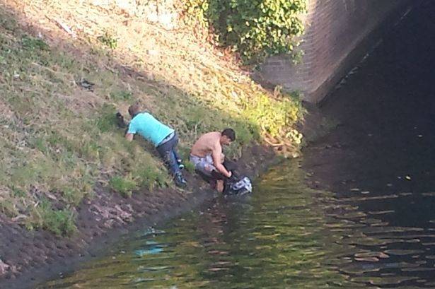 Eventually by throwing a shirt, they were able to catch hold of her. Considering the current, they likely could not have jumped in themselves and made it out easy.