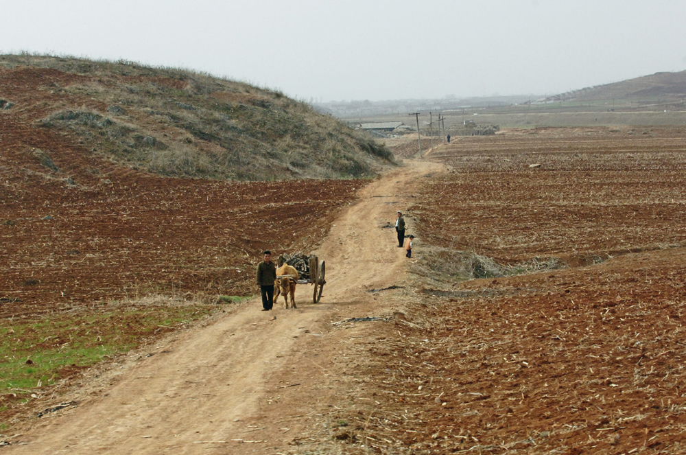 10.) Suburbs, North Korea