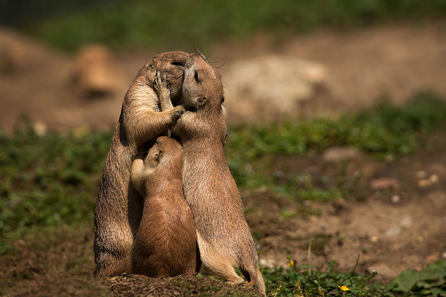 16.) Family group hug!