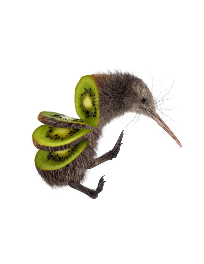 Kiwi