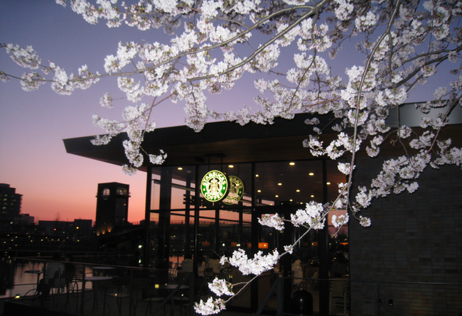 6.) Toyama Kansui Koen, Japan.