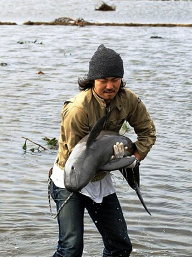 18.) When this completely helpless porpoise washed up into a rice field following a tsunami, Ryo Taira made sure it got back where it belonged.