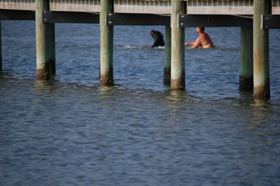 That's when Adam Warwick, a biologist with the Wildlife Commission, knew he had to act.