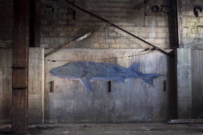 A large fish swimming in a cement sea.