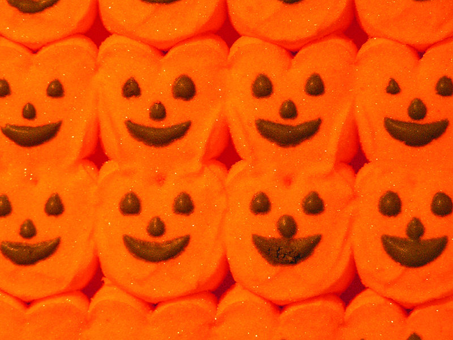 Pumpkin Peeps