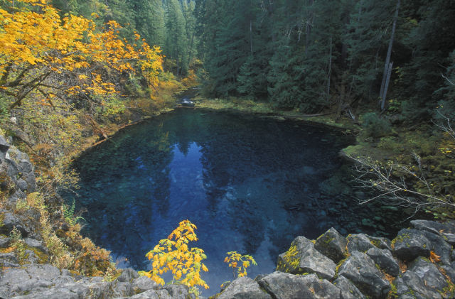 28. <a href="https://visitmckenzieriver.com/new/component/k2/item/12-tamolitch-falls-aka-blue-pool" target="_blank">Blue Pool, McKenzie River, Oregon</a>