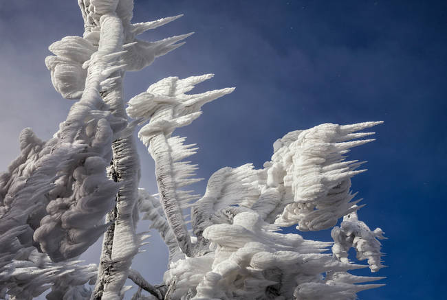 Because of the ice spikes, the landscape appears as though it's caught in a severe wind.