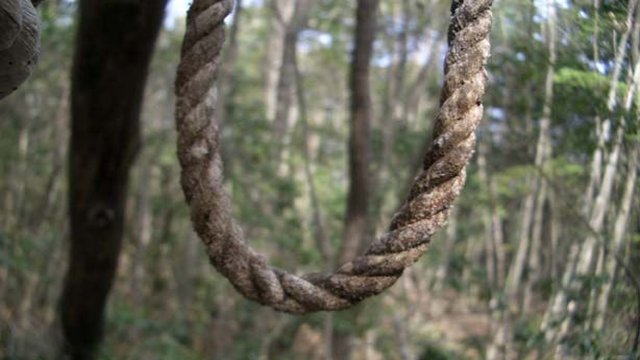 17.) Aokigahara Forest, Japan.