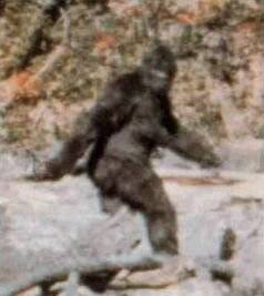 6.) Patterson and Gimlin's Big Foot footage.