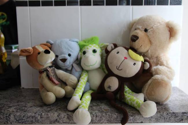 The lifted goods: over three weeks, Shana discovered these unidentified stuffed animals in her house.