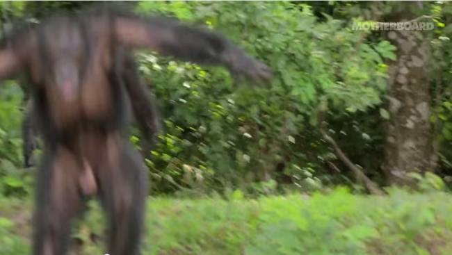 As they approached the bank, a large male chimpanzee came barreling towards them. They escaped back into the water with the chimpanzee drumming on the bow of the boat.