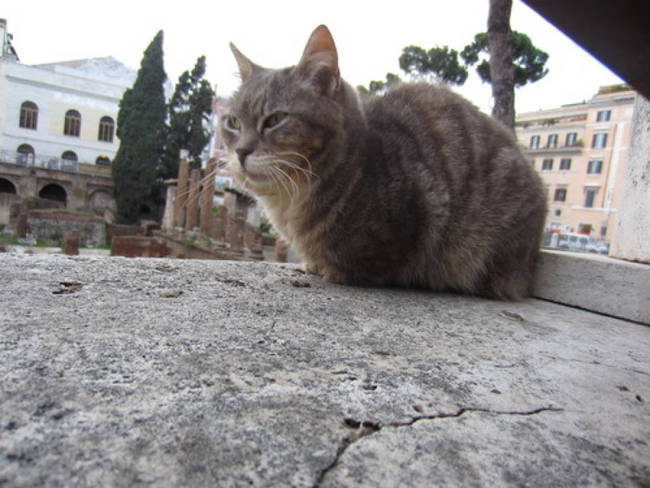 Keeping a close eye on everyone in Rome.