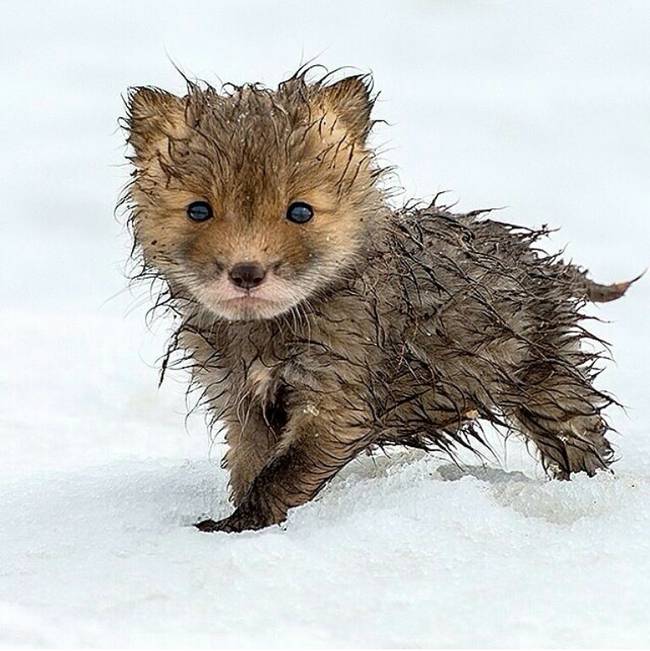 So wet and yet so cute!