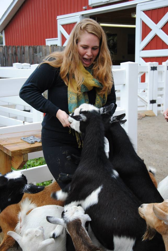 28. It's every goat for himself at meal time.