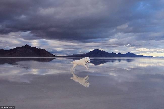 The mirroring Bonneville Salt Flats in Utah