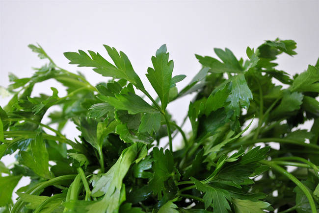 Mix some parsley in with their food to help keep their breath fresh