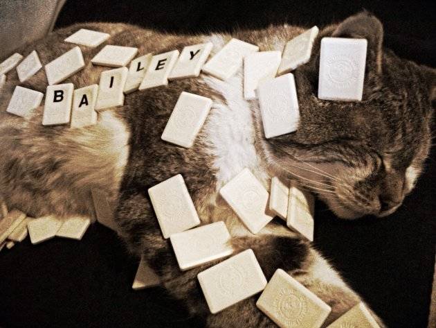 Scrabble got a little out of hand.