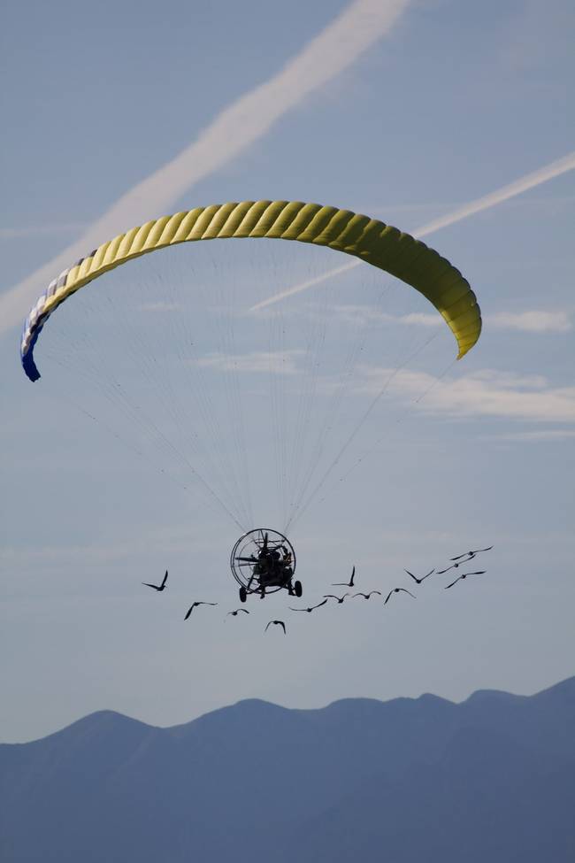 To do so, they fly right along with them in these aircrafts on the slow journey. Their latest trip took 11 days.