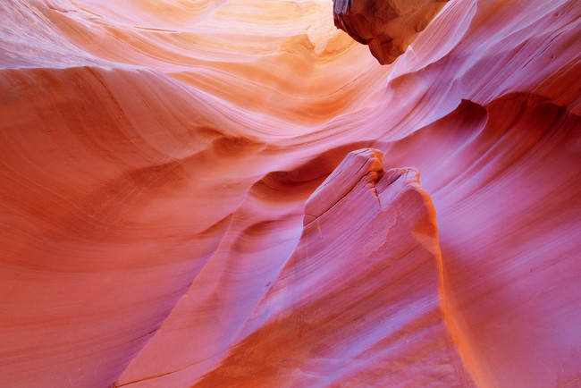 The Pink Wall in Rattlesnake Canyon, Utah