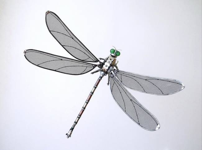 A dragonfly with screen wings