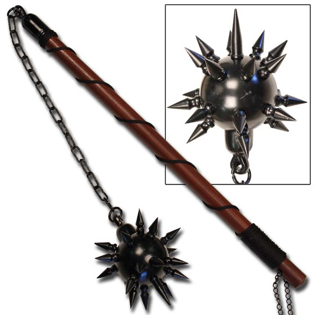 7.) Morning Stars: These were a kind of mace that featured a ball with razor sharp spikes jutting out of it. It could be attacked to the end of a baton or with a chain.