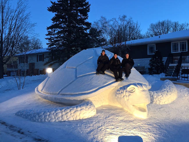 Snow Sea Turtle.